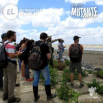 Radio Mutante Radio Mutante
