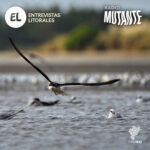 Radio Mutante